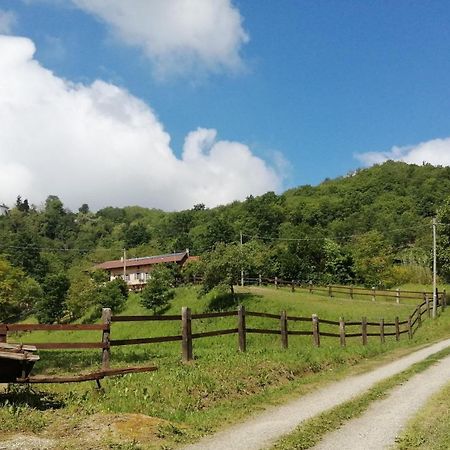 La Casa In Collina Bed and Breakfast Cinzano Buitenkant foto